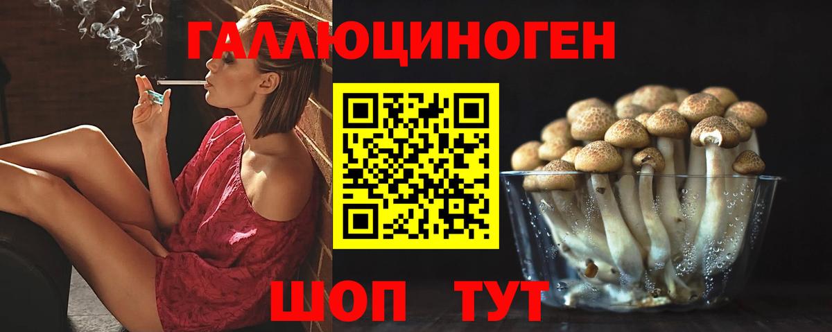 Благодарный  Псилоцибиновые грибы Cubensis  Вход с VPN 